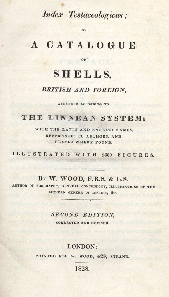Item #2903159 Index Testaceologicus; or A Catalogue of Shells, British and Foreign…. W. WOOD.