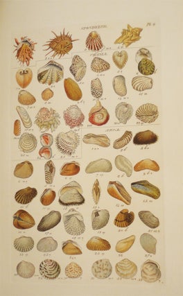 Index Testaceologicus; or A Catalogue of Shells, British and Foreign…