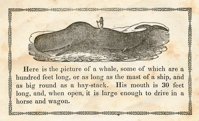 Item #3011915 Stories about Whales. Rufus MERILL, Publisher.