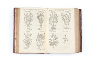 Item #3409277 The Herball, or Generall Historie of Plantes. John GERARD