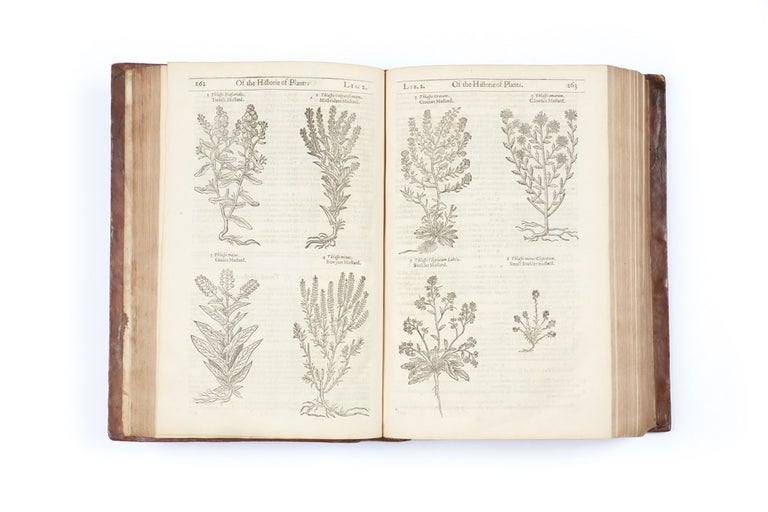 Item #3409277 The Herball, or Generall Historie of Plantes. John GERARD.