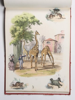 Le Jardin des Plantes. Compositions et dessins par A. Adam. Texte par Jules Rostaing.