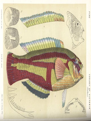 Natural History of Victoria. Prodromus of the Zoology of Victoria; or, figures and descriptions of the living classes of the Victorian indigenous animals.