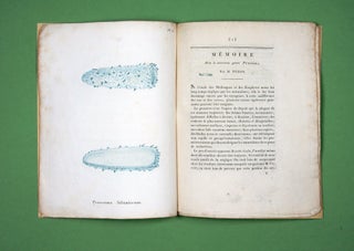 Item #4006841 Mémoire sur le nouveau genre Pyrosoma. François PERON