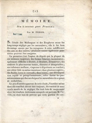 Mémoire sur le nouveau genre Pyrosoma.