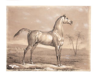 Item #4007893 An Arabian Stallion. Carle VERNET
