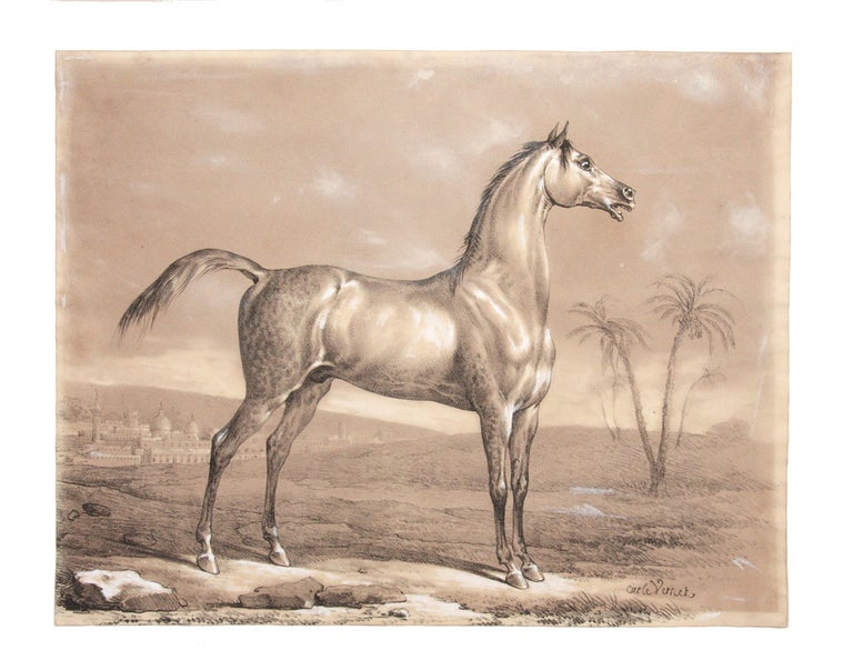 Item #4007893 An Arabian Stallion. Carle VERNET.