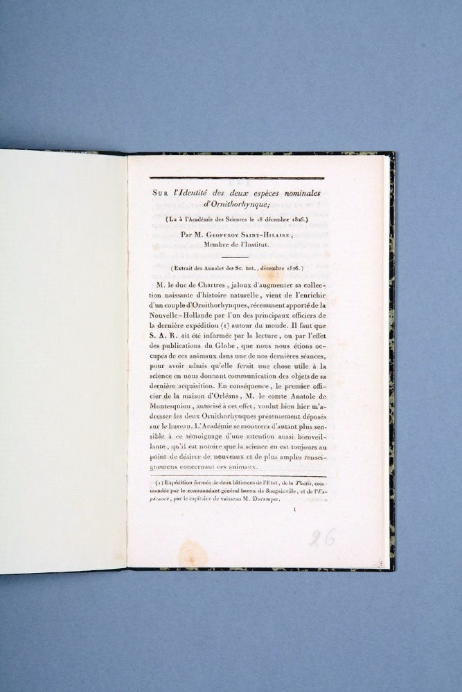 Item #4102423 Sur l'identité des deux espèces nominales d'Ornithorhynque; (Lu à l'Académie des Sciences le 18 décembre 1826). BOUGAINVILLE, Étienne GEOFFROY SAINT-HILAIRE.
