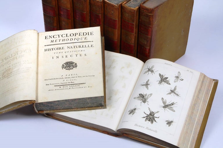 Item #4103473 Encyclopédie méthodique. Histoire naturelle: Insectes. Guillaume Antoine OLIVIER, Pierre André LATREILLE.