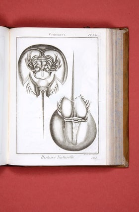 Encyclopédie méthodique. Histoire naturelle: Insectes.