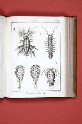 Encyclopédie méthodique. Histoire naturelle: Insectes.