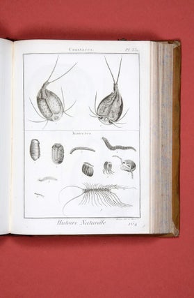 Encyclopédie méthodique. Histoire naturelle: Insectes.