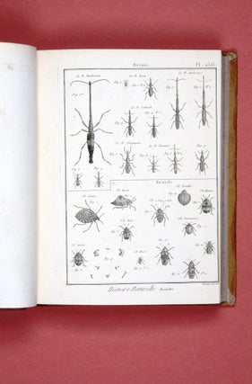 Encyclopédie méthodique. Histoire naturelle: Insectes.