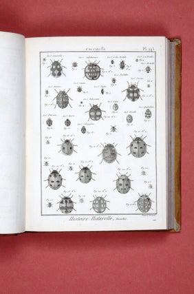 Encyclopédie méthodique. Histoire naturelle: Insectes.