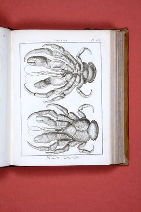 Encyclopédie méthodique. Histoire naturelle: Insectes.