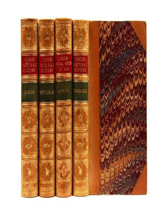 Item #4205929 The Illustrated Natural History: Mammalia: Birds: Reptiles Etc: The Natural History...