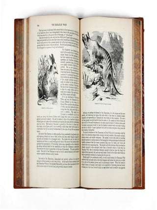 The Illustrated Natural History: Mammalia: Birds: Reptiles Etc: The Natural History of Man. Africa.