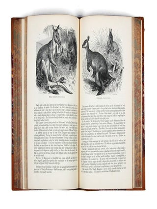 The Illustrated Natural History: Mammalia: Birds: Reptiles Etc: The Natural History of Man. Africa.
