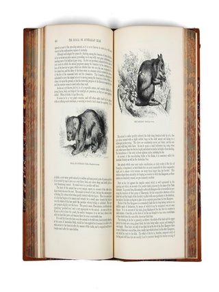 The Illustrated Natural History: Mammalia: Birds: Reptiles Etc: The Natural History of Man. Africa.