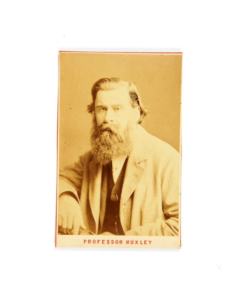 Item #4304404 Photographic Carte de visite portrait of T.H. Huxley. RATTLESNAKE, Thomas Henry HUXLEY.
