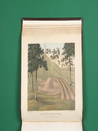 Journals of Two Expeditions into the Interior of New South Wales, undertaken by order of the British Government in the Years 1817-18.