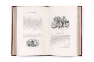 Item #4504295 The Tower Menagerie: Comprising the Natural History of the Animals Contained in...