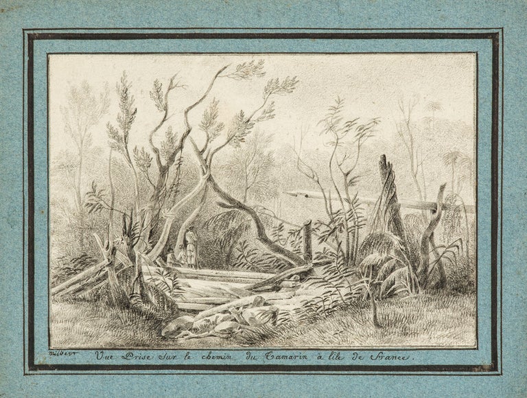 Item #4504851 Original drawing of a scene in Mauritius: "Vue prise sur le chemin du Tamarin à l'ile de France" BAUDIN VOYAGE, Jacques Gérard. MILBERT.
