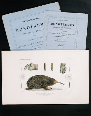 Item #4504877 Ostéographie des Monotrèmes vivants et fossiles…. ECHIDNA, Paul GERVAIS