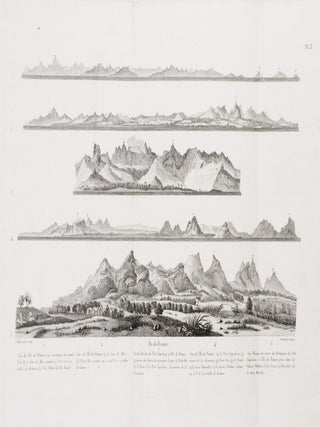 Voyage pittoresque à l'Ile-de-France, au cap de Bonne-Espérance, et à l'île de Ténériffe…