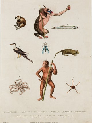 A New Dictionary of Natural History; or, Compleat Universal Display or Animated Nature. With Accurate Representations of the Most Curious and Beautiful Animals, Elegantly Coloured.