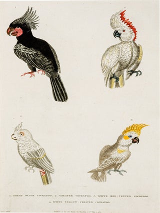 A New Dictionary of Natural History; or, Compleat Universal Display or Animated Nature. With Accurate Representations of the Most Curious and Beautiful Animals, Elegantly Coloured.