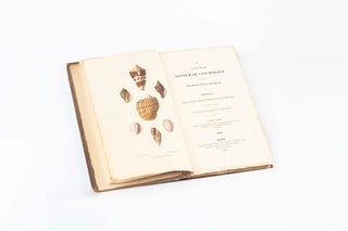 Item #4505189 The Linnæan System of Conchology, describing the Orders, Genera, and Species of...