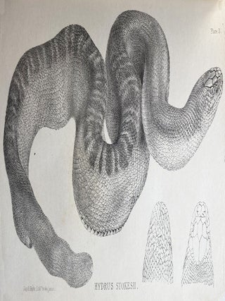 Discoveries in Australia; with an Account of the Coasts and Rivers Explored and Surveyed during the Voyage of H.M.S. Beagle, in the Years 1837-38-39-40-41-42-43. By command of the Lords Commissioners of the Admiralty. Also A Narrative of Captain Owen Stanley's Visits to the Islands in the Arafura Sea.