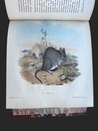 Narrative of an Expedition into Central Australia, performed Under the Authority of Her Majesty's Government, during the years 1844, 5, and 6. Together with a notice of the Province of South Australia, in 1847.