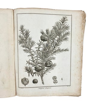 Icones Plantarum Syriae rariorum, descriptionibus et observationibus illustratae. Parts 1-3 (of 5).