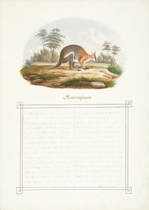 Natural History albums, entititled "Histoire naturelle. Zoologie", and "Histoire naturelle. Botanique".