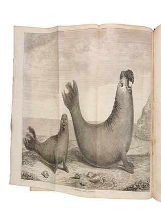 A Voyage Round the World, in the Years MDCCXL, I, II, III, IV. By George Anson, Esq; Commander in Chief of a Squadron of His Majesty's Ships, sent upon an Expedition to the South-Seas… Compiled from papers and other materials of the Right Honourable George Lord Anson, and published under his direction, by Richard Walter, M.A., chaplain of His Majesty's ship the Centurion, in that expedition.