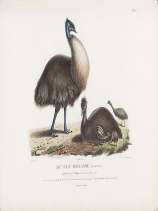 Voyage de D&eacute;couvertes aux Terres Australes&hellip; sur les corvettes Le G&eacute;ographe, Le Naturaliste, et la go&eacute;lette Le Casuarina, pendant les ann&eacute;es 1800, 1801, 1802, 1803 et 1804. [with] Voyage de D&eacute;couvertes aux Terres Australes&hellip;. Navigation et G&eacute;ographie.