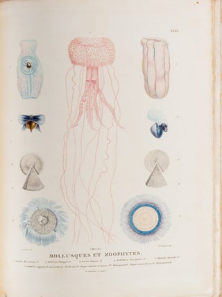 Voyage de D&eacute;couvertes aux Terres Australes&hellip; sur les corvettes Le G&eacute;ographe, Le Naturaliste, et la go&eacute;lette Le Casuarina, pendant les ann&eacute;es 1800, 1801, 1802, 1803 et 1804. [with] Voyage de D&eacute;couvertes aux Terres Australes&hellip;. Navigation et G&eacute;ographie.