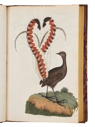 An Account of the English Colony in New South Wales.