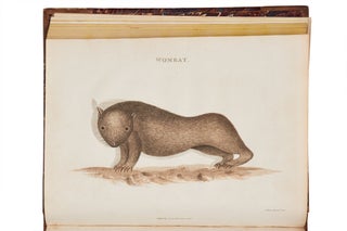 An Account of the English Colony in New South Wales.