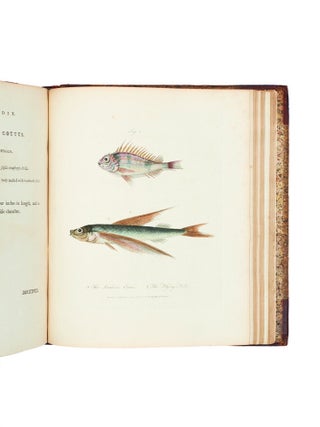 Journal of a Voyage to New South Wales.
