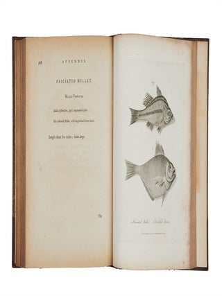 Journal of a Voyage to New South Wales with sixty-five plates of nondescript animals, birds, lizards, serpents…